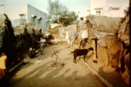 People and goat in Madras slum