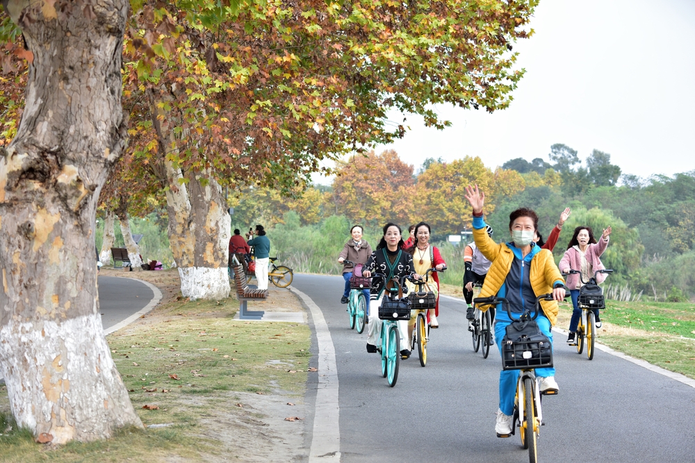 Creating A ‘Kingdom for Bicycles’ in Yichang, China